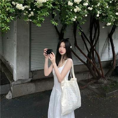 达芙妮2017