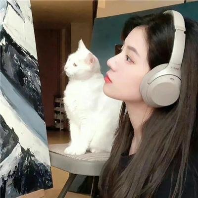 甜梦猫